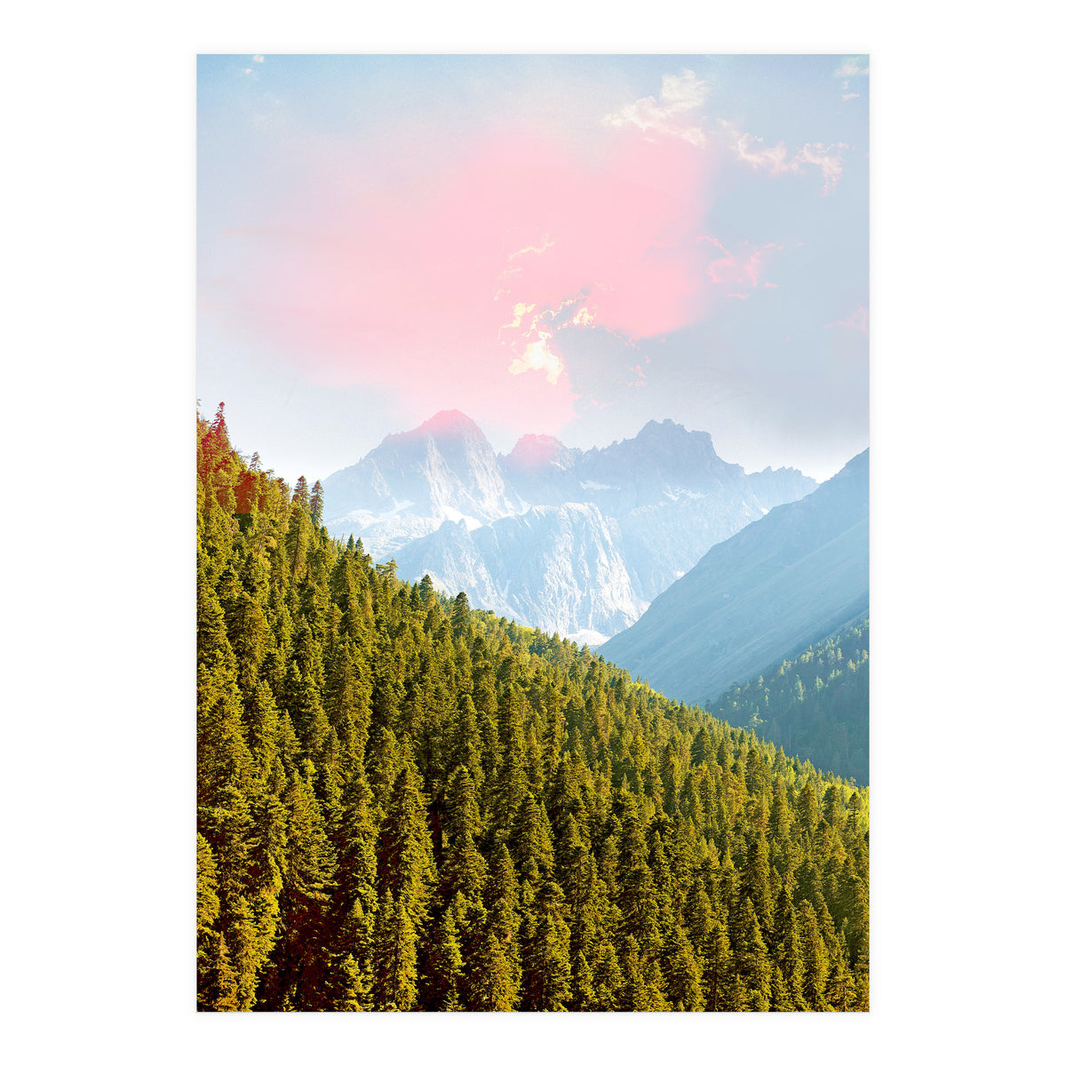 Evergreen (Print Only)