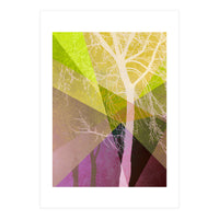 P22 A Trees And Triangles (Print Only)