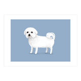Bichon Frise (Print Only) thumbnail
