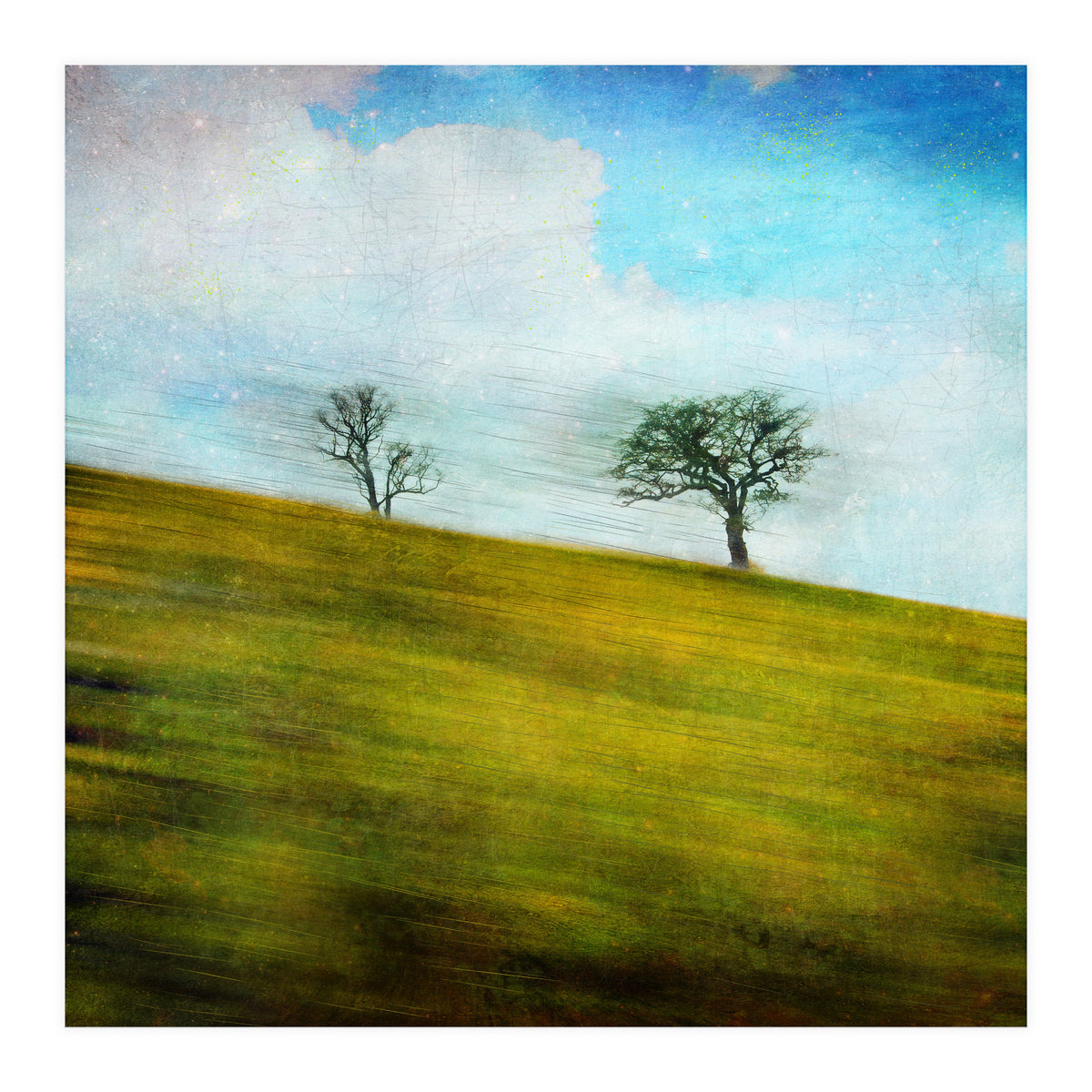 Uphill, Backwards (Print Only)