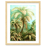Vintage Tropical | Jungle Botanical Nature Banana Tree | Bohemian Plants Trees Forest thumbnail