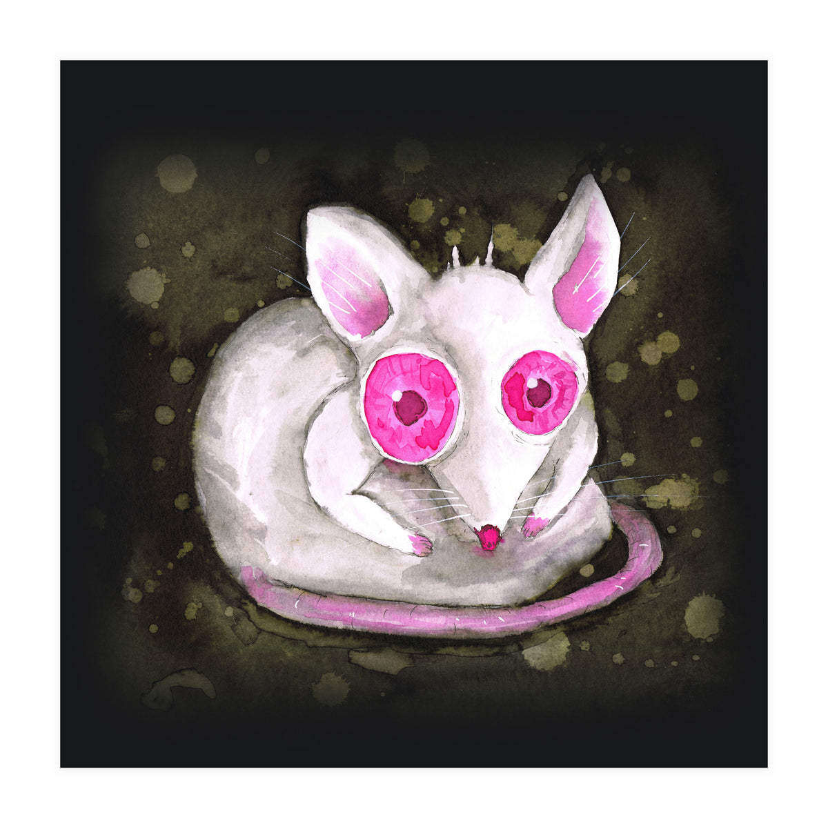 Albino rat (Print Only)