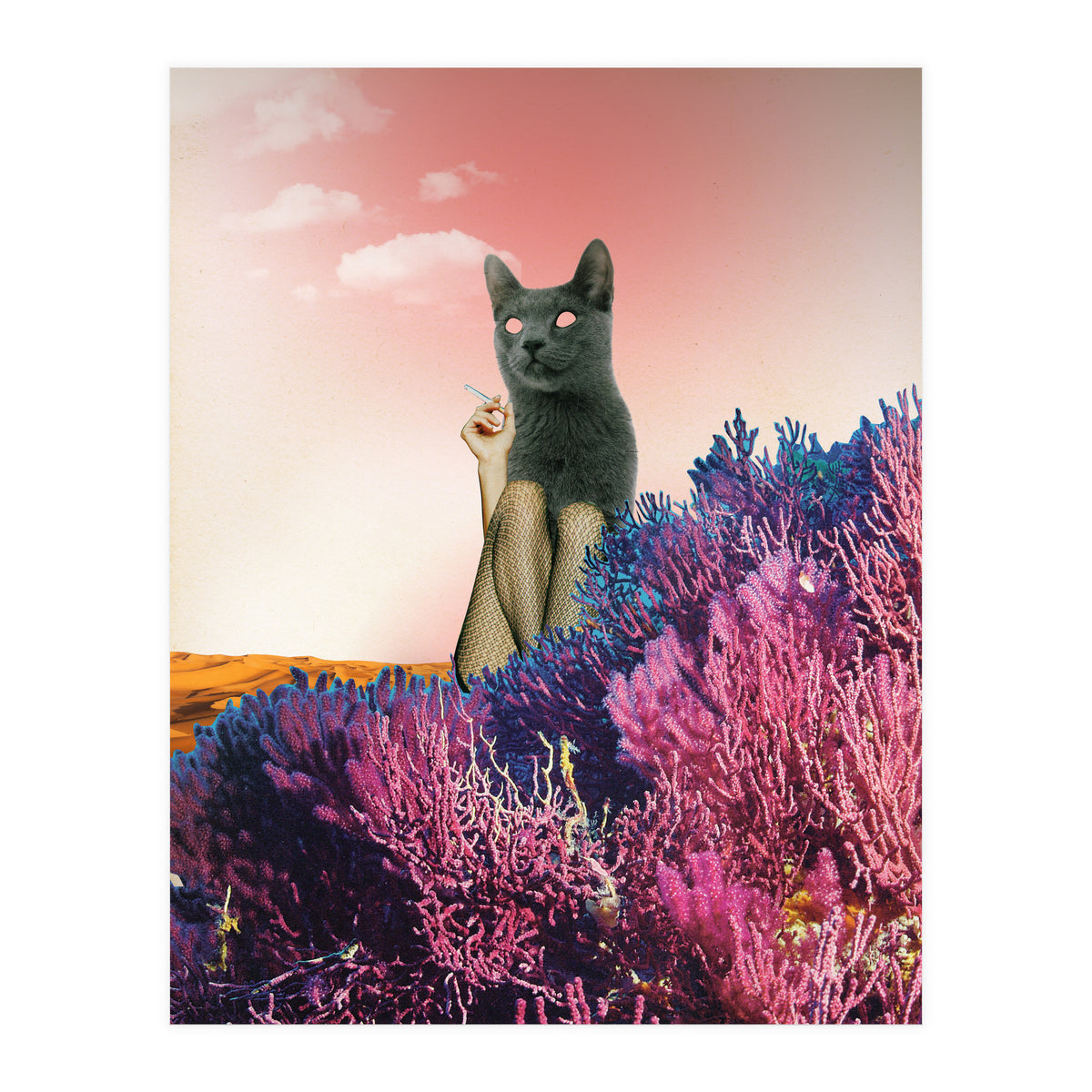 Atmosphere · The Funny Side (Print Only)