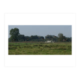 Freedom (Print Only) thumbnail