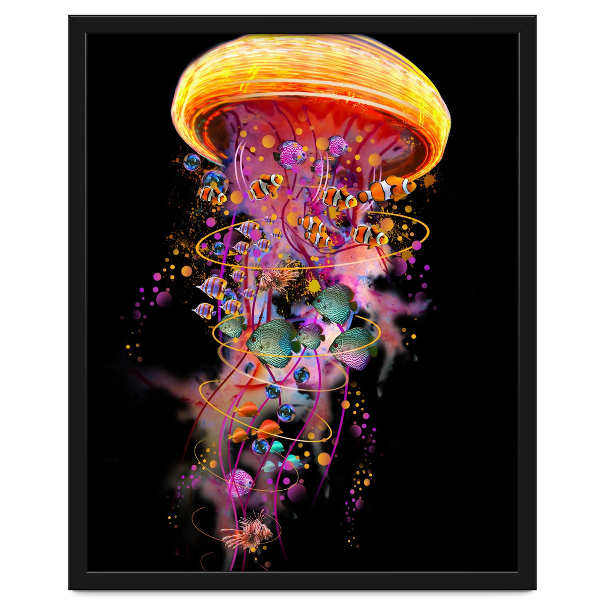 Jelly Fish Ride Summer2018 Dbh