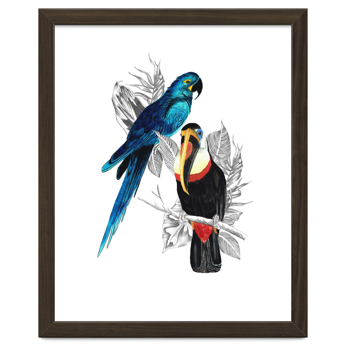 The Toucan and the Parrot