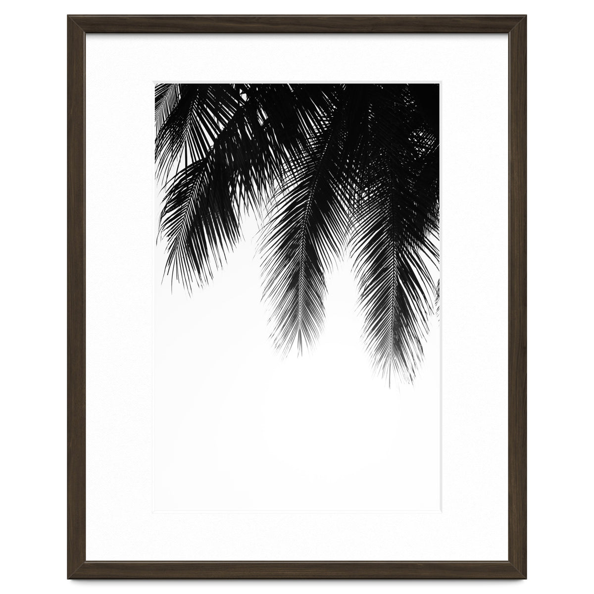 Palm leaves