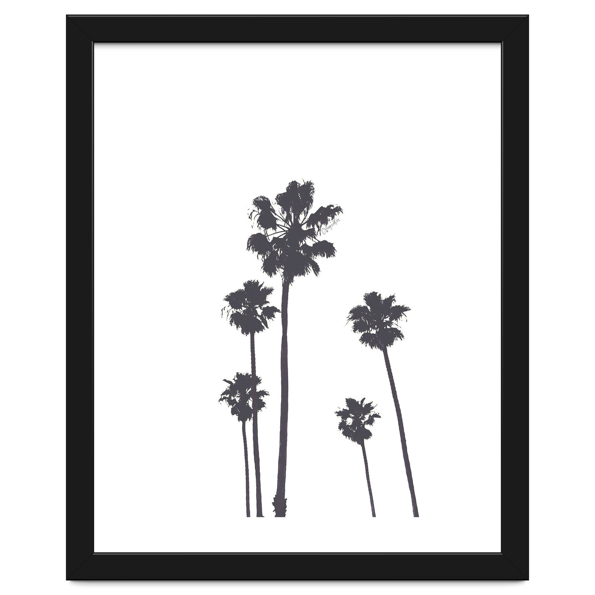 Palms & Sunset-Minimal B&W 2