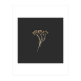 Gold Burst Botanicals - Square (Print Only) thumbnail