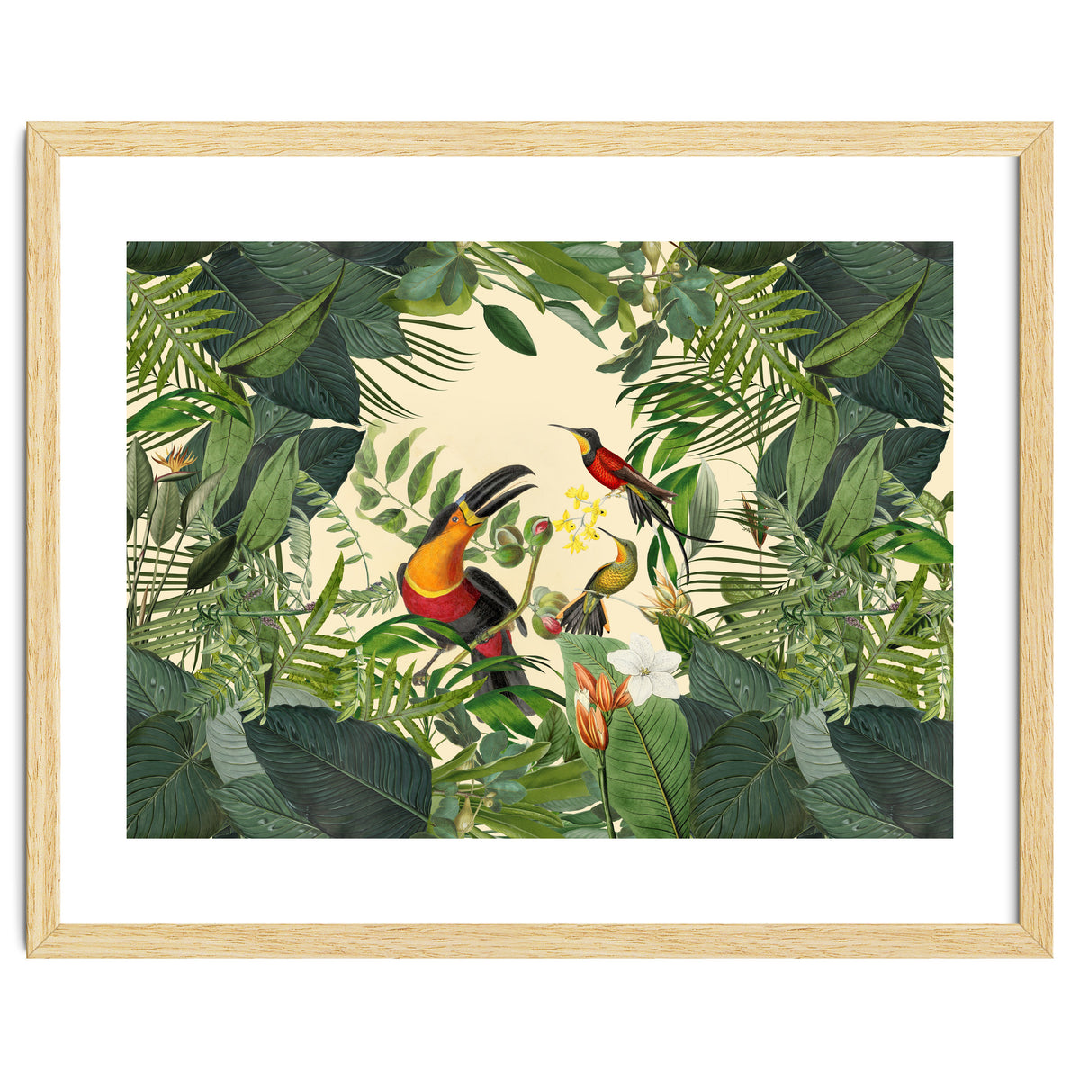 Green Jungle Toucans 2