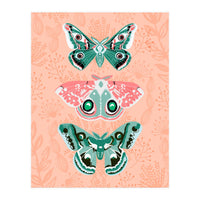 Lepidoptery No. 3 (Print Only)