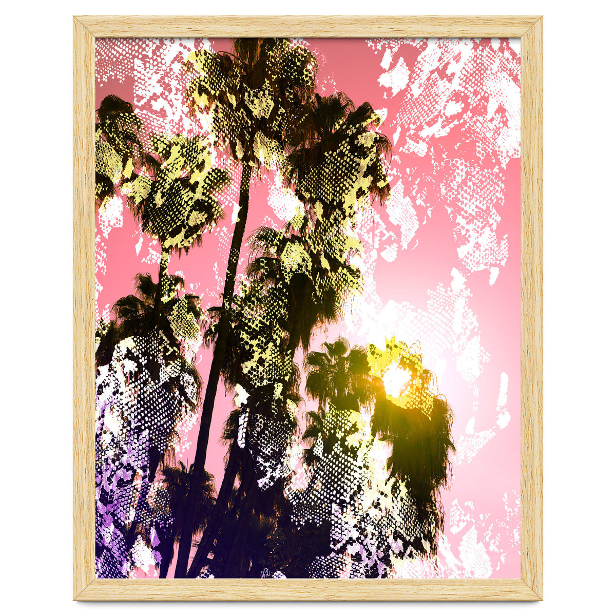 Snake sunset in paradise