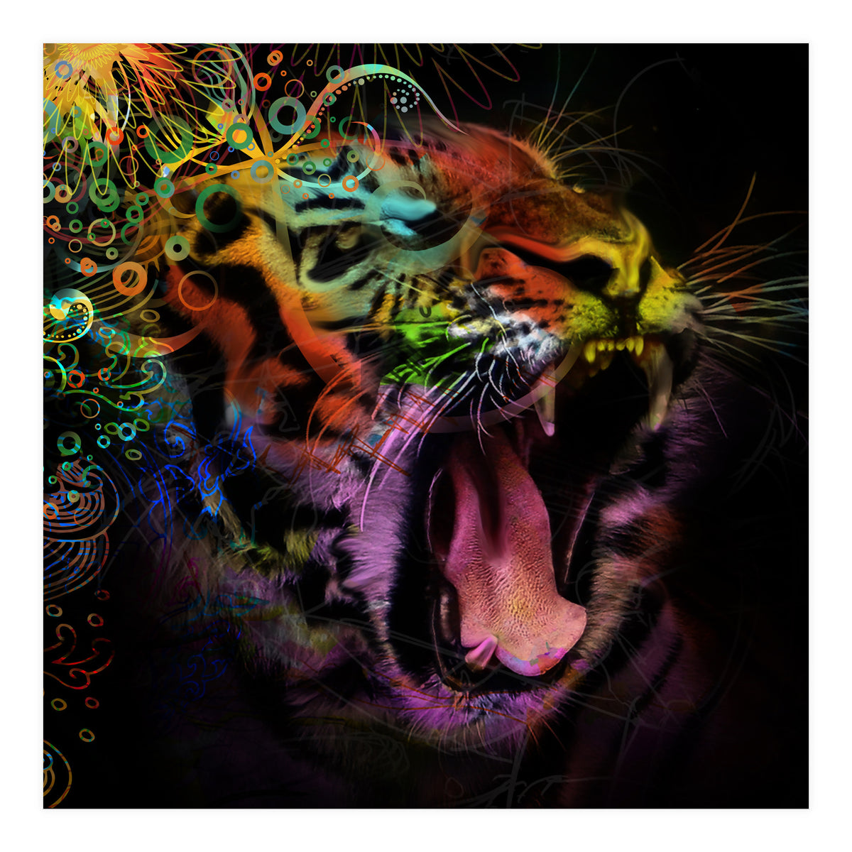 Tiger5 (Print Only)