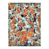 Little Falling Embers (Print Only) thumbnail