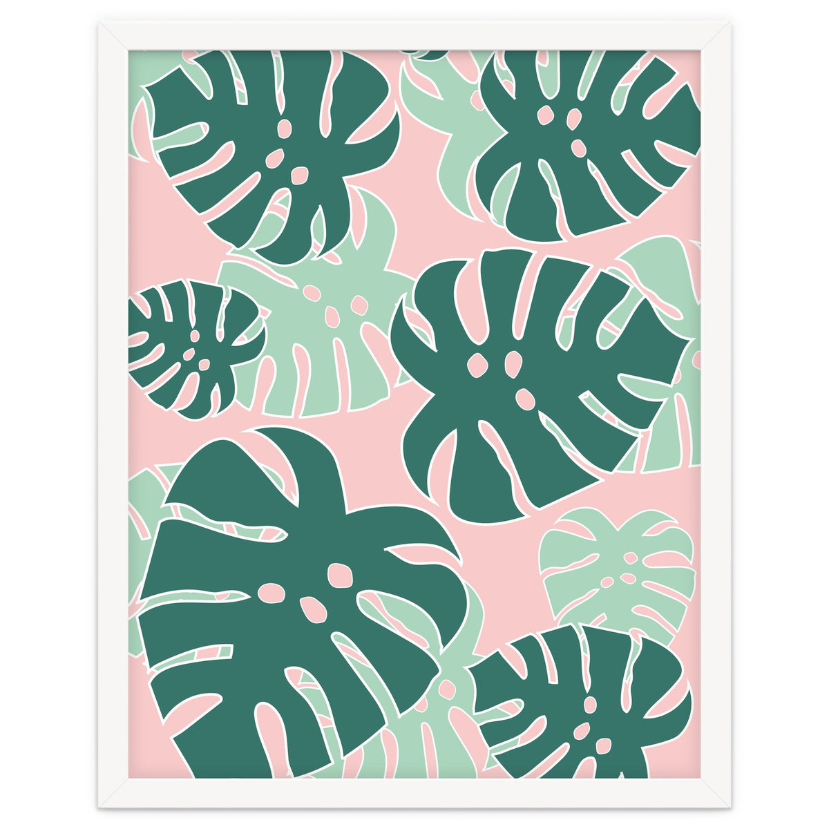 Monstera Tropical