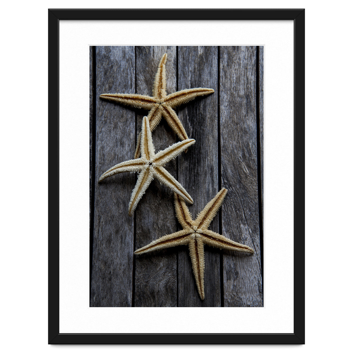 Starfishes in wooden