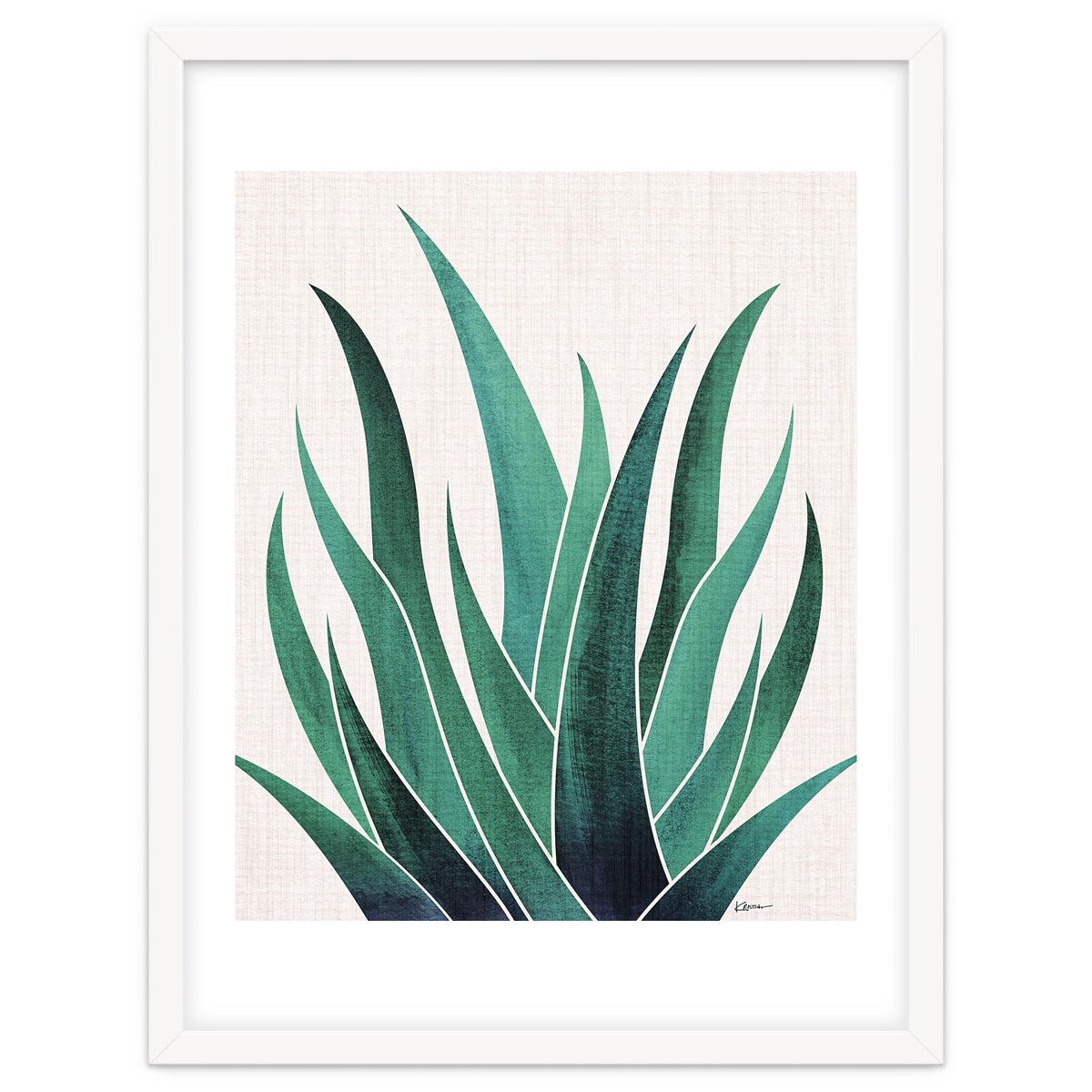 Desert Agave