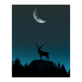 Wild Nature - Nocturne (Print Only) thumbnail