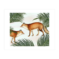 Red Fox Pair (Print Only)