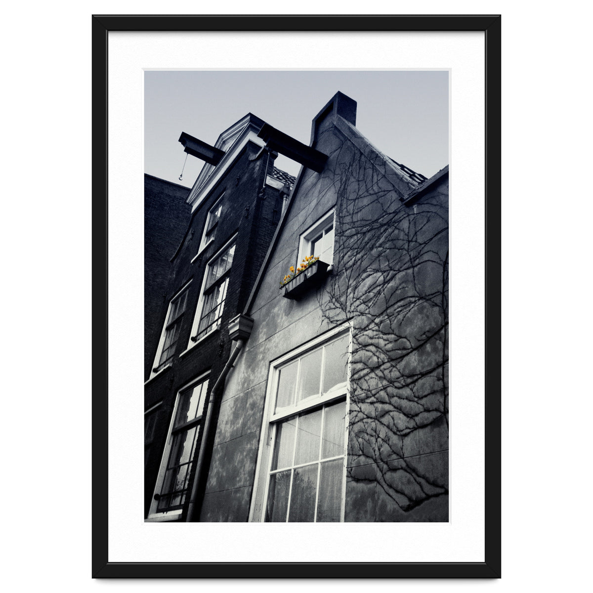 Amsterdam. House With Yellow Flowers.