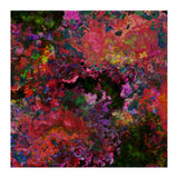 Blooms  (Print Only) thumbnail