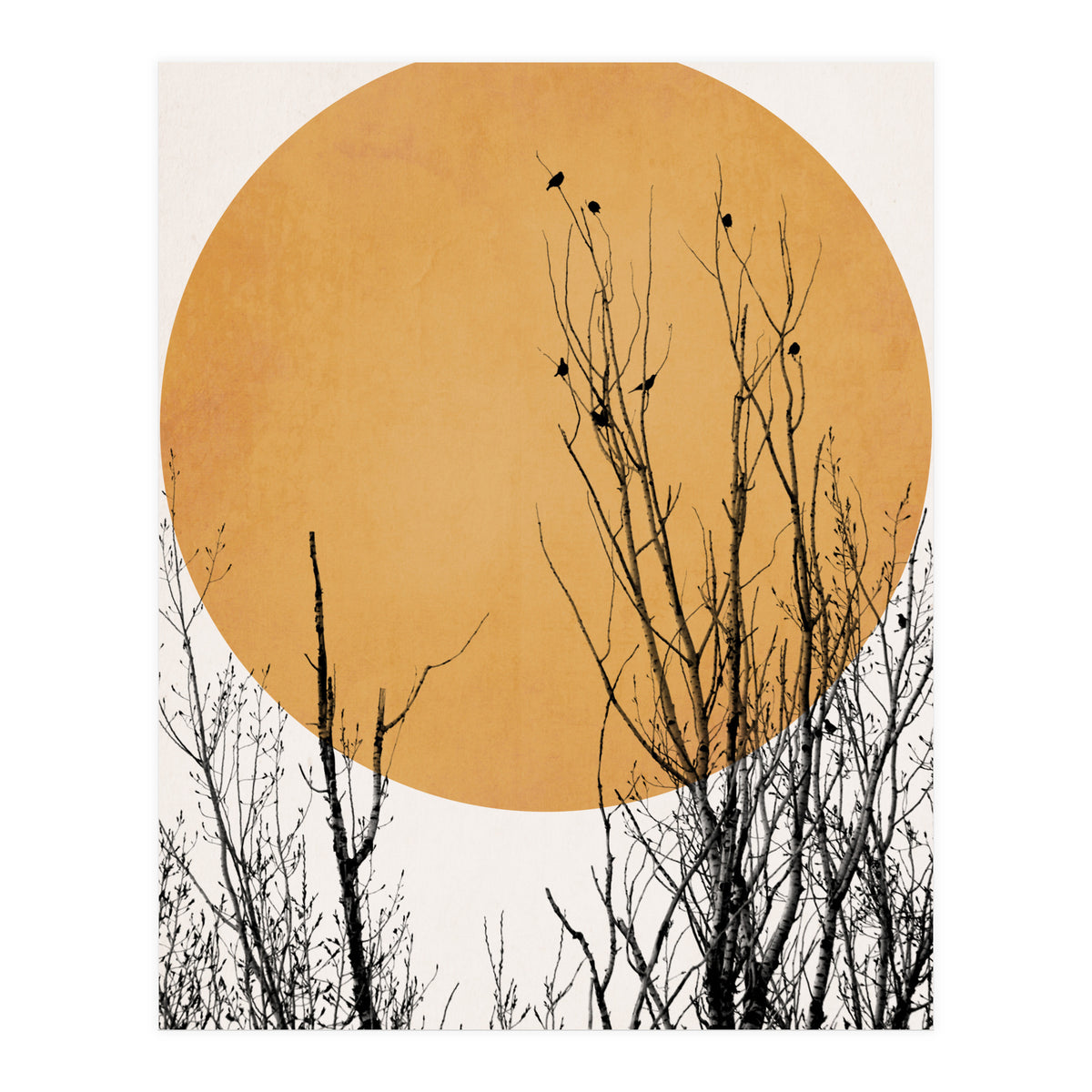 Sunset Dreams Yellow (Print Only)