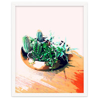 Cacti In A Copper Pot