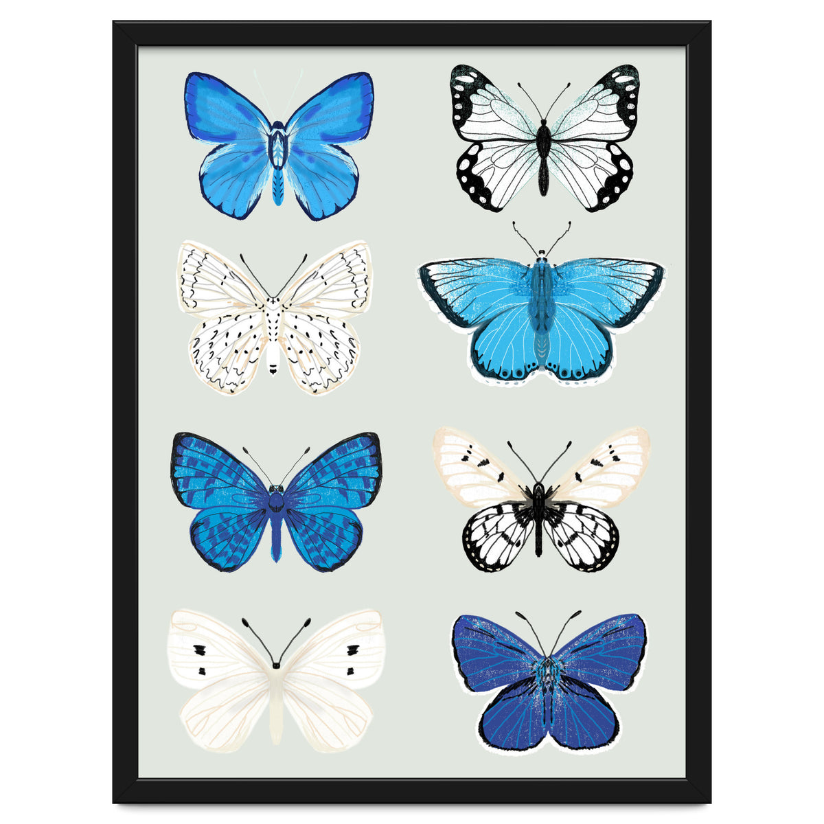 Lepidoptery Study No. 3