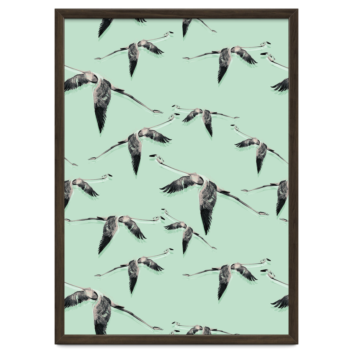 Flight of flamingos