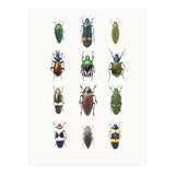 Cc Insects 03 (Print Only) thumbnail