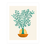 Emerald Ficus Sunset (Print Only) thumbnail