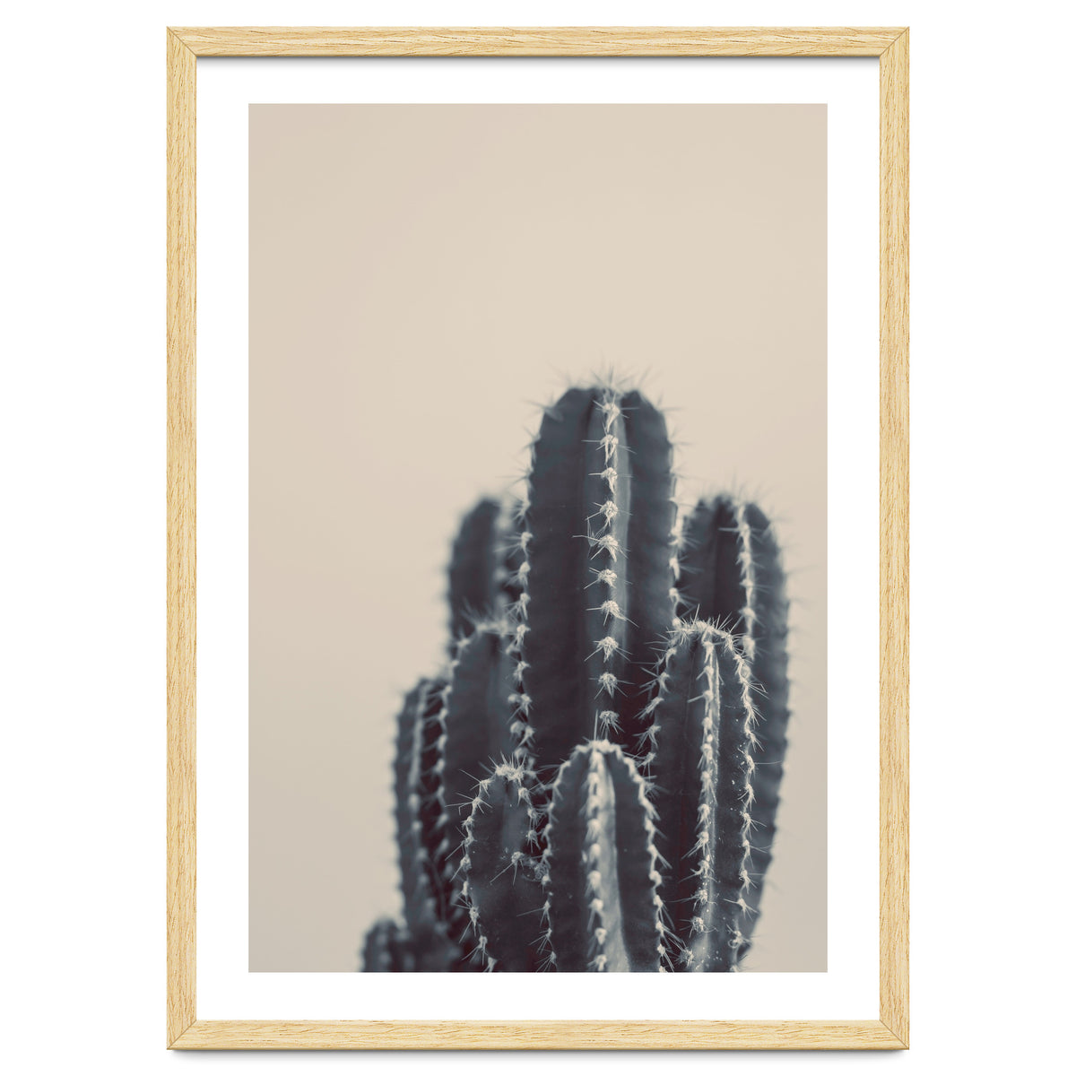 Vintage Cactus #1