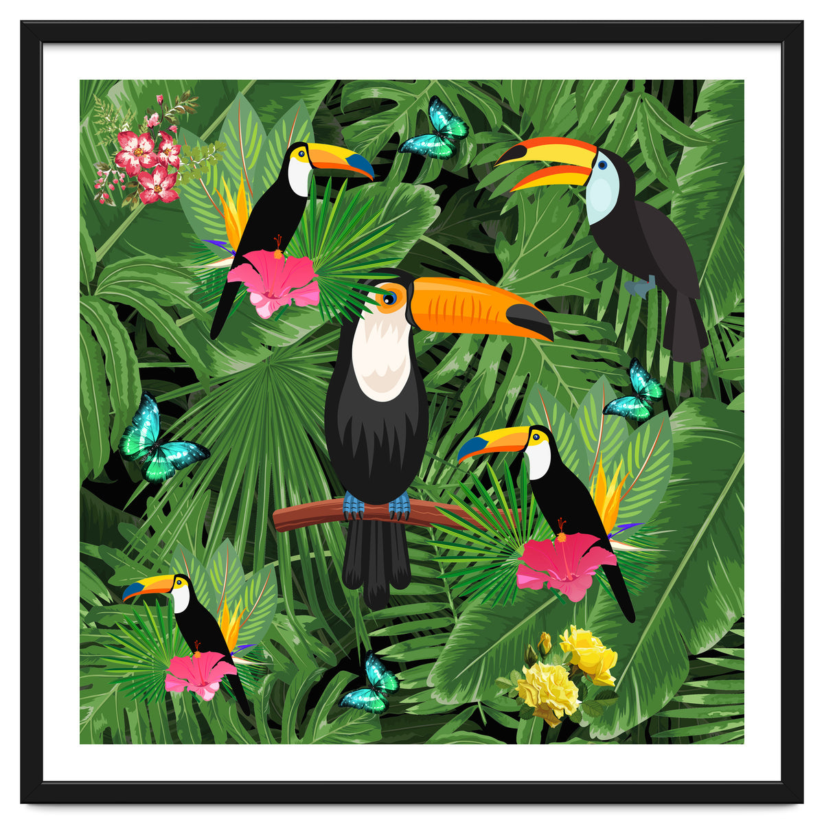 Toucan
