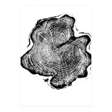 Alaskan Cypress, Tree Ring Art Print, Woodblock (Print Only) thumbnail