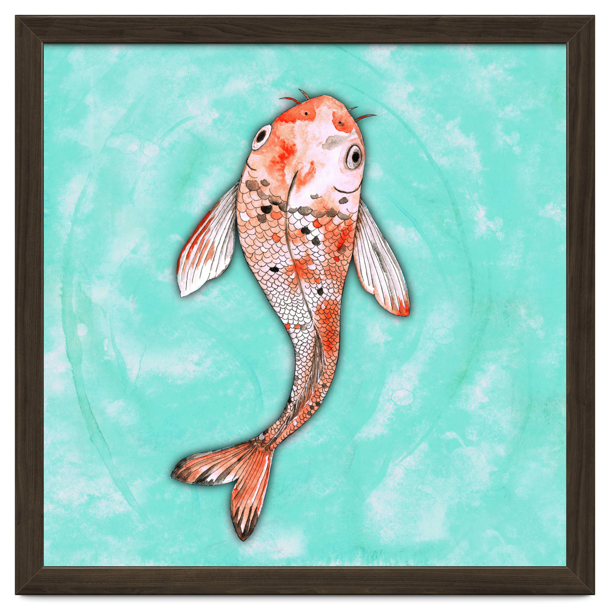 Koi fish