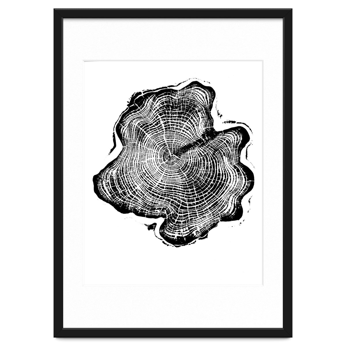 Alaskan Cypress, Tree Ring Art Print, Woodblock