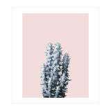 Cactus collection BL-III (Print Only) thumbnail