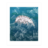 Eurythenes Plasticus (Print Only) thumbnail