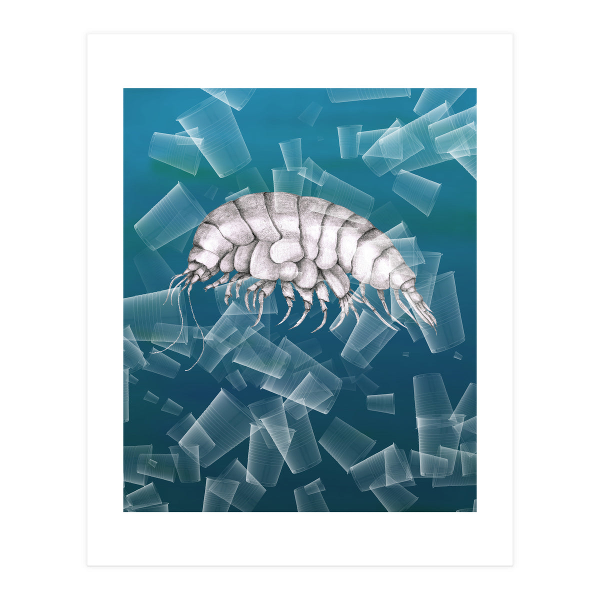 Eurythenes Plasticus (Print Only)