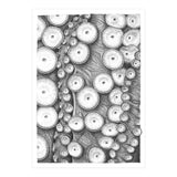 Octopus no. 3 (Print Only) thumbnail