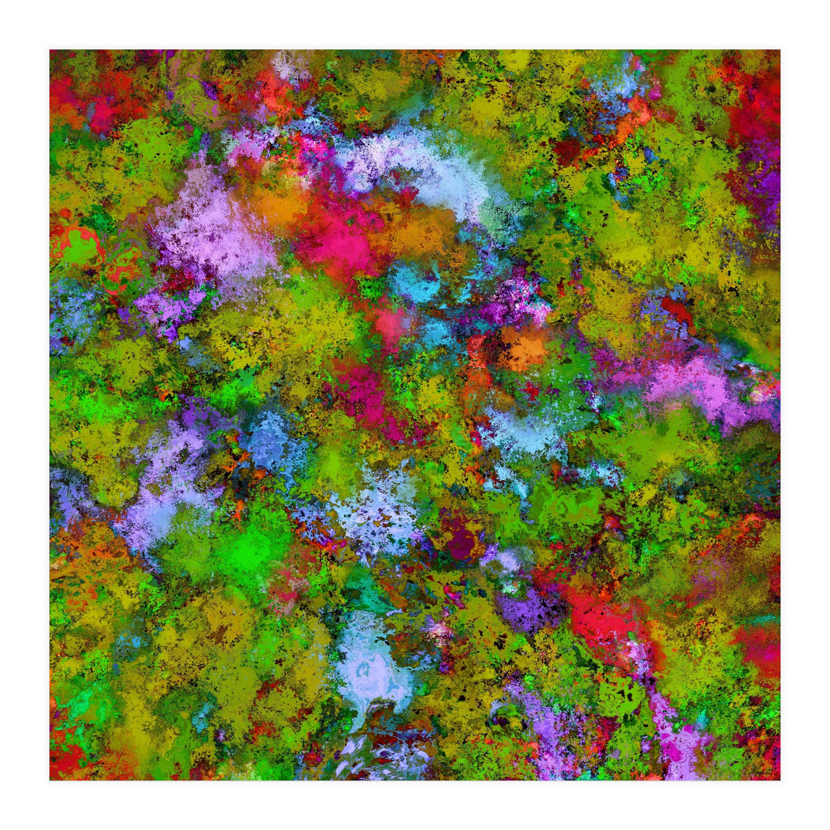 Above The Tree Canopy (Print Only)