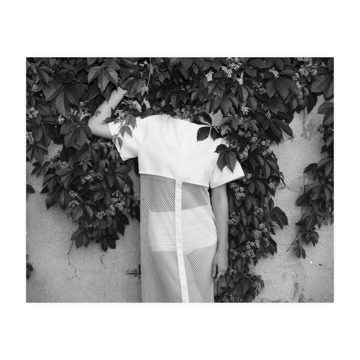 Alien Abduction (Print Only)