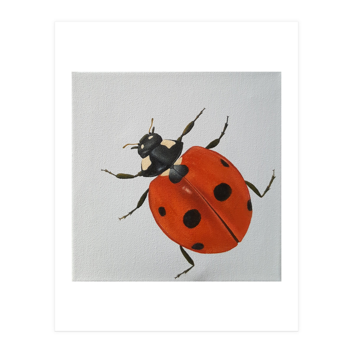 Ladybird  (Print Only)