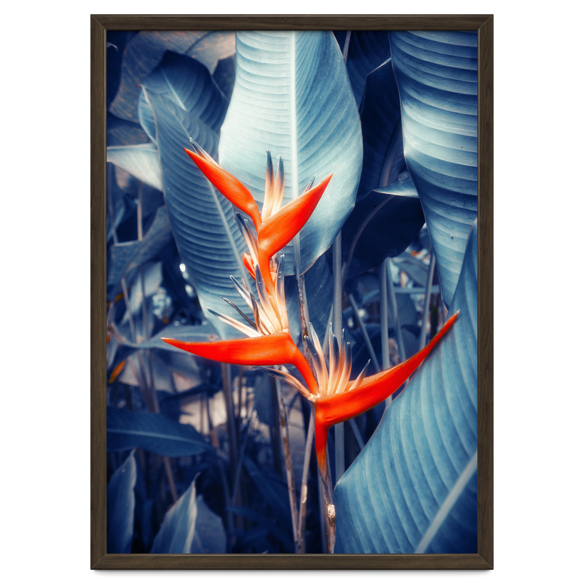 Parakeet Tropical Flower