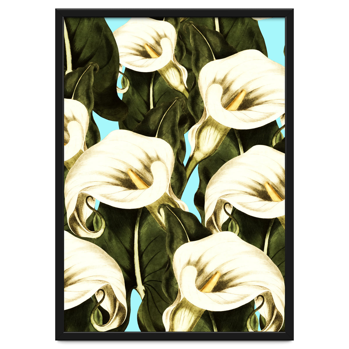 Pattern floral Ethiopian-Calla