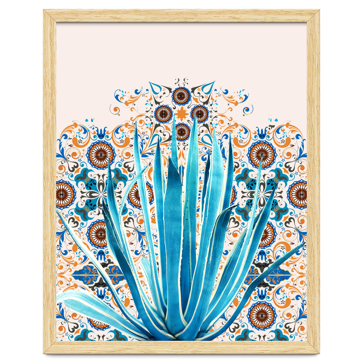 Cactus and Moroccan tiles