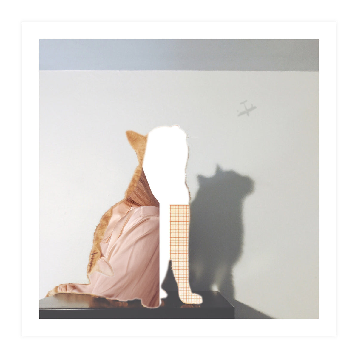 Die Planlose Katze (Print Only)