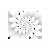 Monochrome Floral Design  (Print Only) thumbnail
