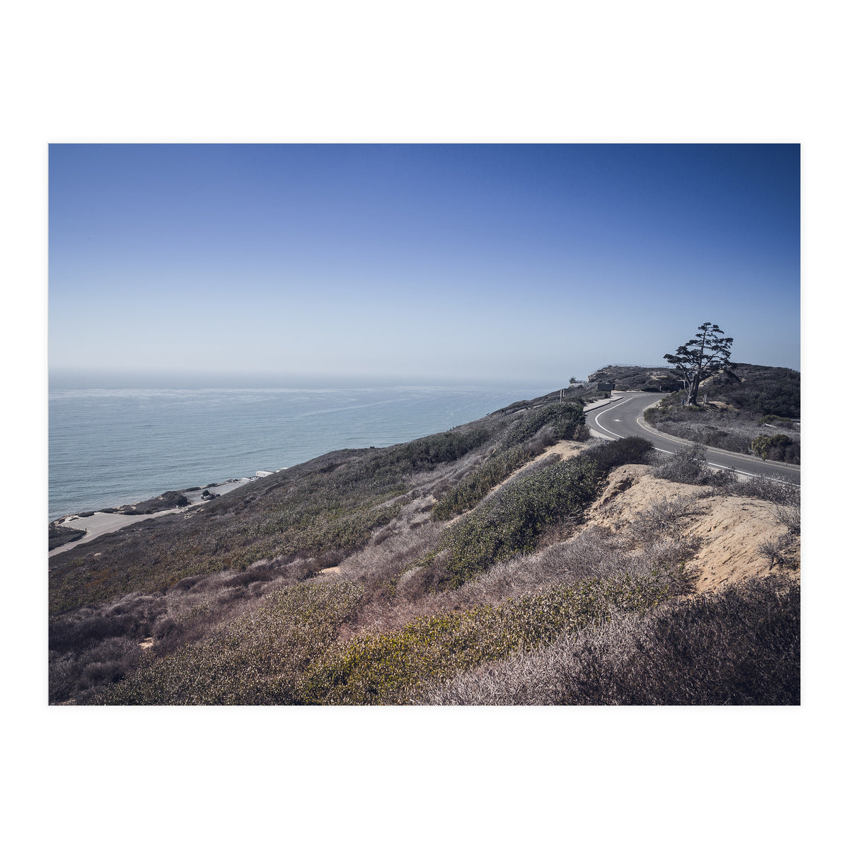 Coastal Road (Print Only)