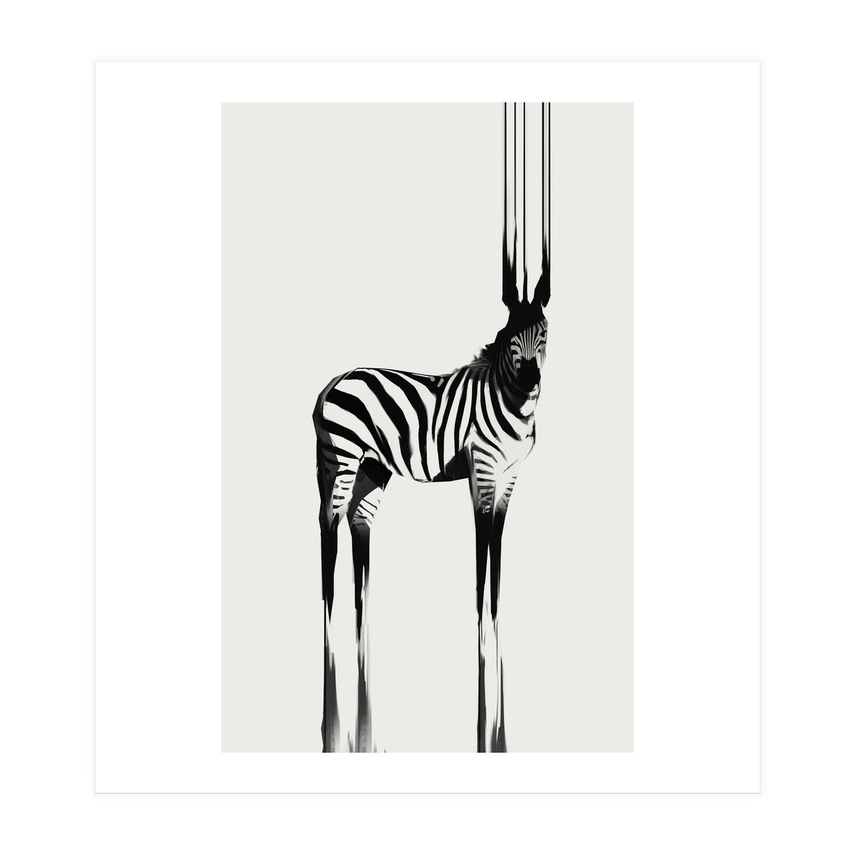 Zebra  (Print Only)